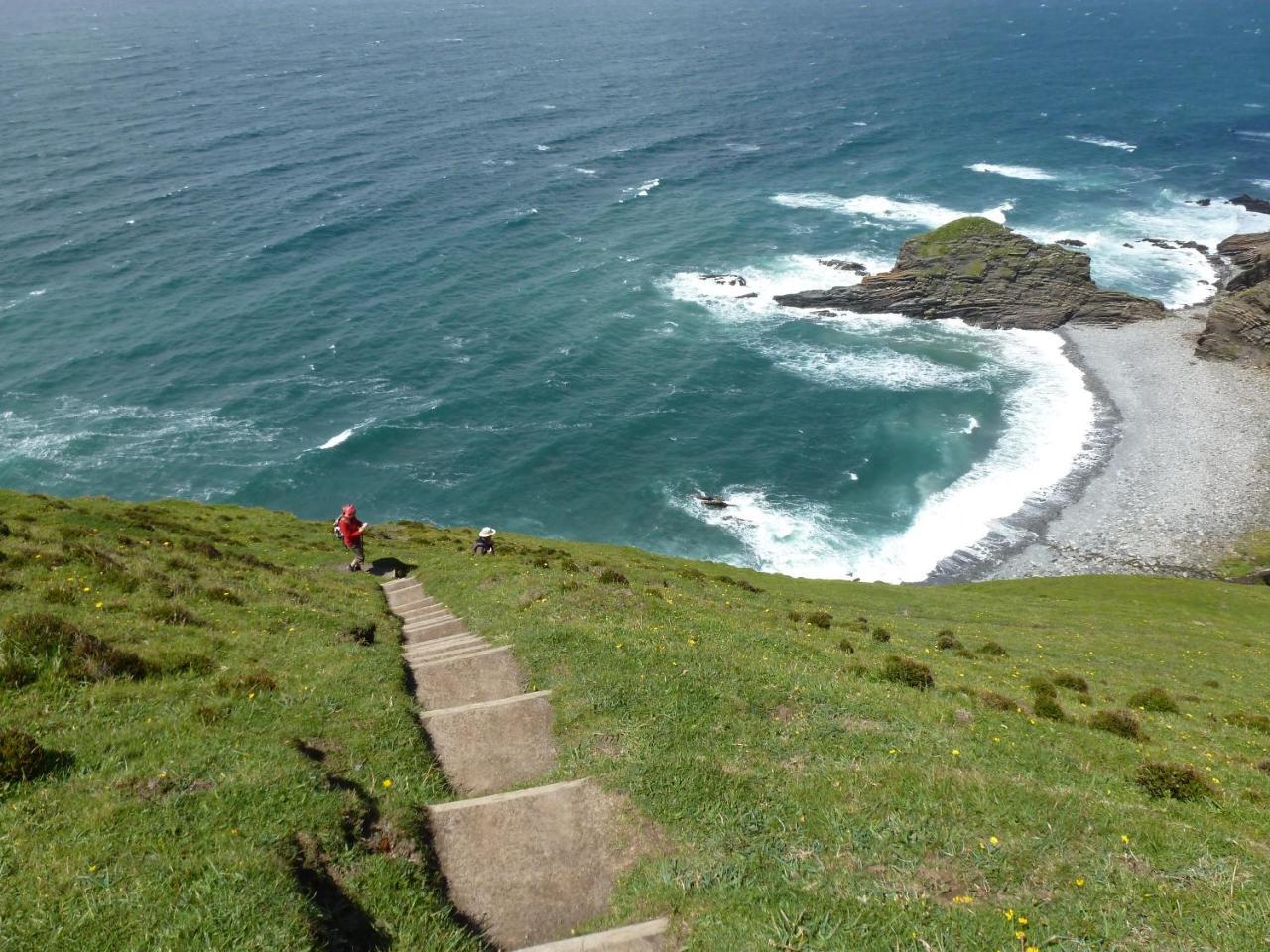 Lower Tresmorn Farmhouse Crackington Haven Exteriör bild