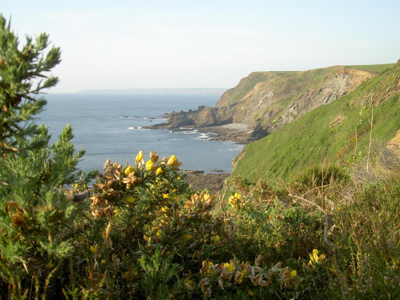 Lower Tresmorn Farmhouse Crackington Haven Exteriör bild