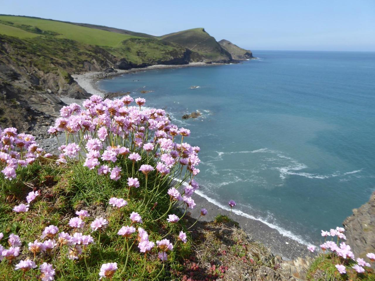 Lower Tresmorn Farmhouse Crackington Haven Exteriör bild