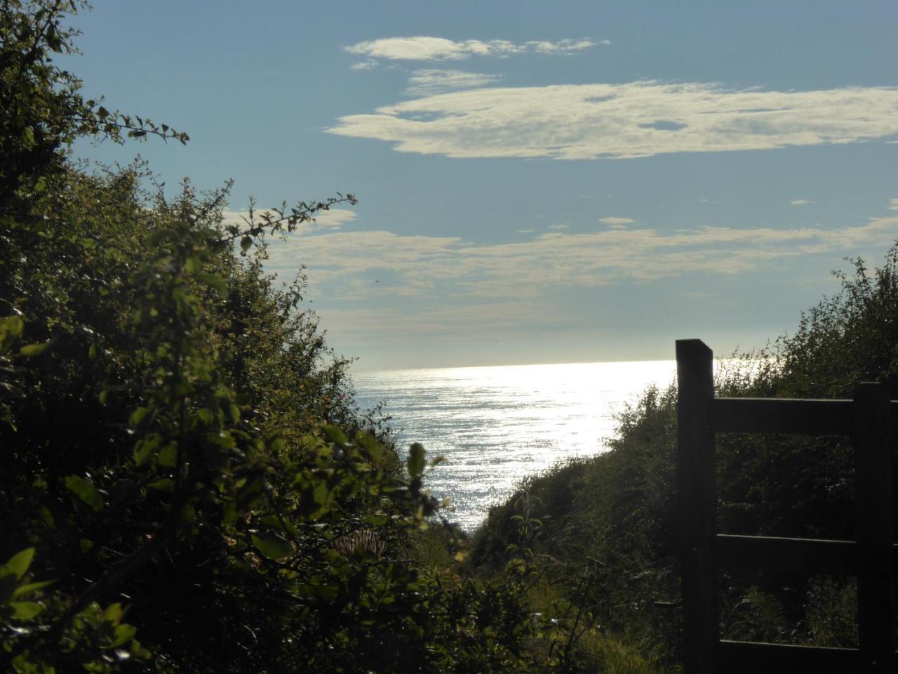 Lower Tresmorn Farmhouse Crackington Haven Exteriör bild