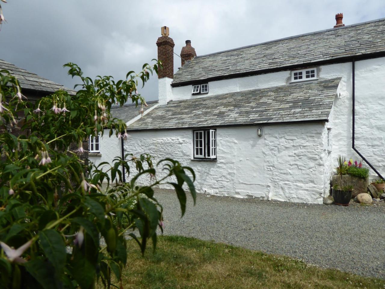 Lower Tresmorn Farmhouse Crackington Haven Exteriör bild