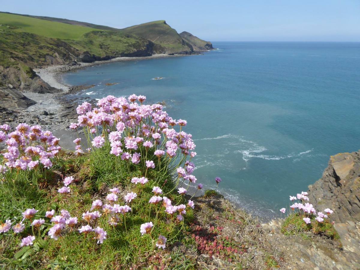 Lower Tresmorn Farmhouse Crackington Haven Exteriör bild